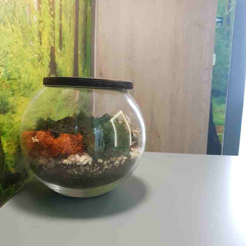 medic stomatolog pentru copii, stomatologie pentru copii si adulti brasov, Carii cu laserul Obturatii stomatologie brasov medic stomatologic brasov, stomatologie brasov pentru copii